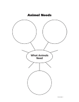 What Animals Need: Blank Chart